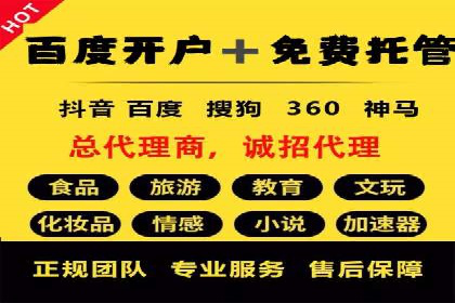 某电商平台的SEM服务托管全流程案例